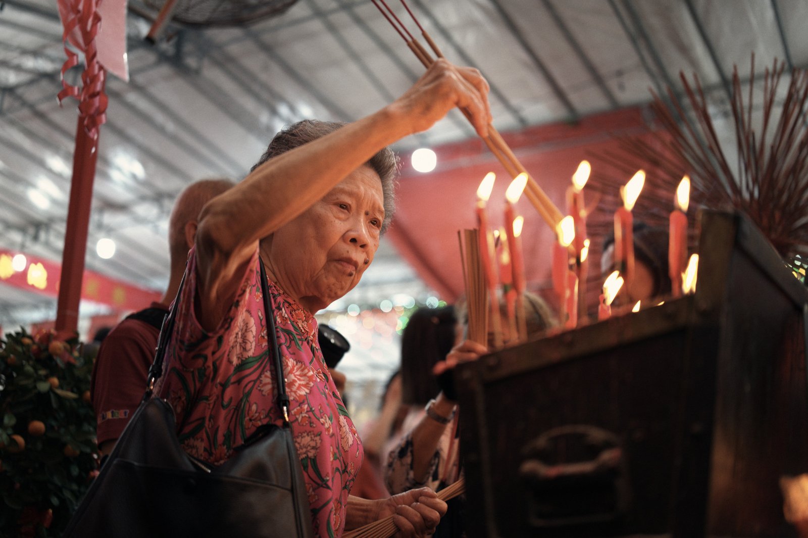 Fire Dragon Festival 2026 , photo 1